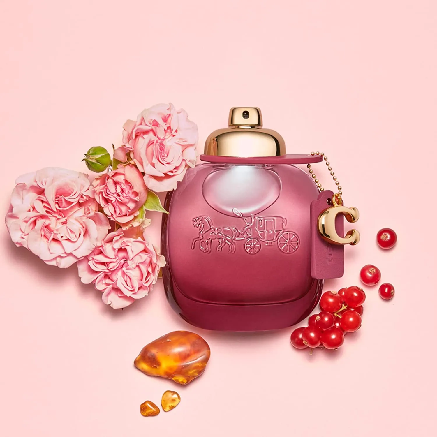 Coach Wild Rose 3.0 oz EDP for women