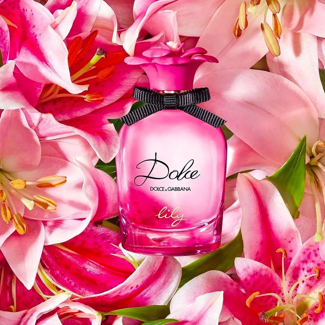 Dolce Lily 2.5 oz EDT for women