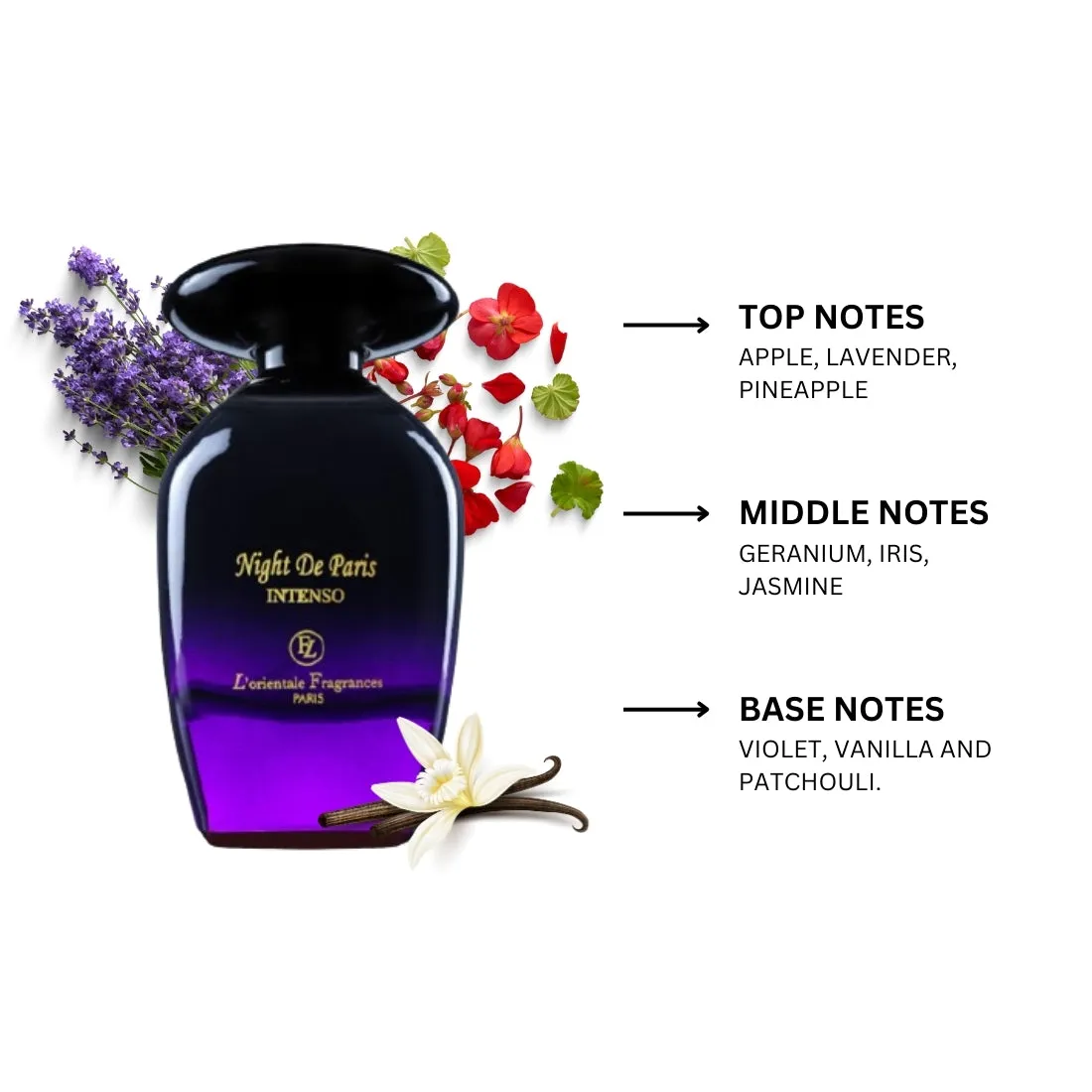 Night De Paris Intenso By Lorientale Fragrances Eau de Parfum 3.4 oz |  Buy 1 Get 1 50% OFF