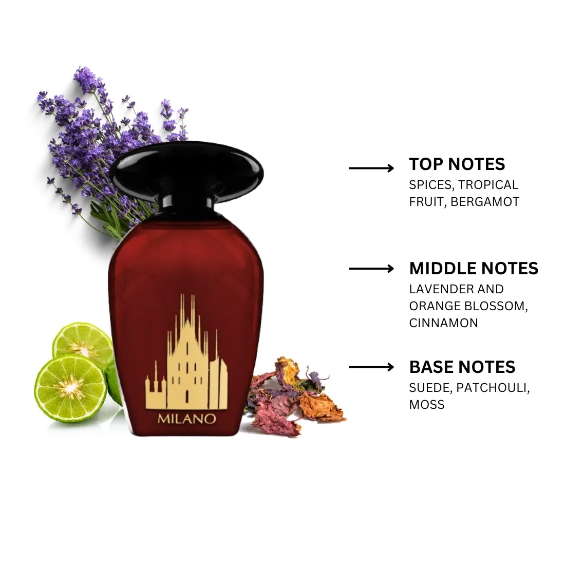Night de Paris Milano By Lorientale Fragrances Eau de Parfum Spray 3.3 oz